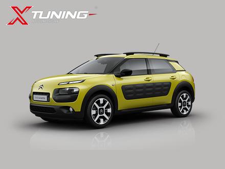 C4 Cactus (2014 - 2017)